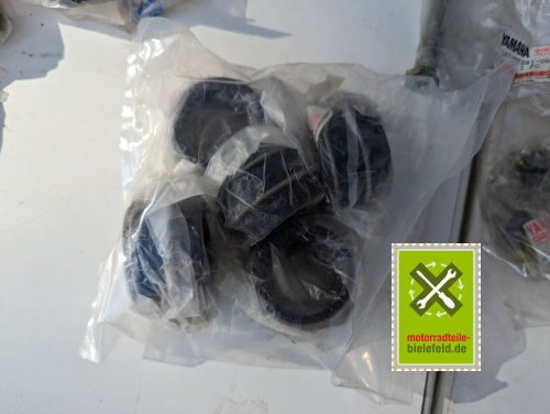 PXL_20240528_155856723.MP